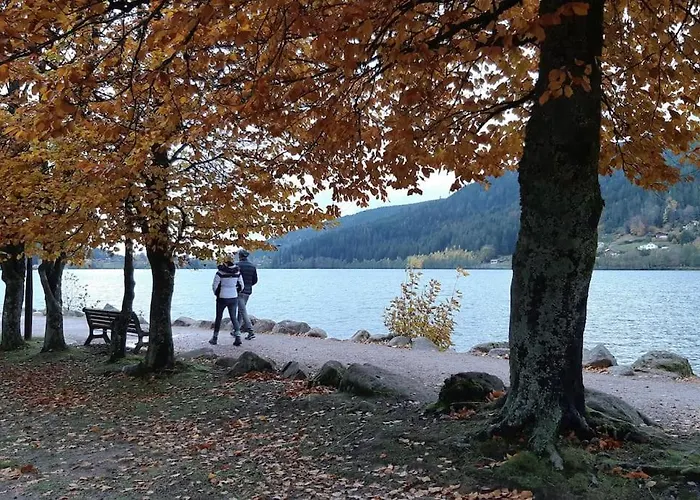 샬레 L'eclipse -12p, Vue Au Pied Des Pistes Et *